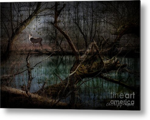 Silent Metal Print featuring the digital art Silent Forest by Chris Armytage