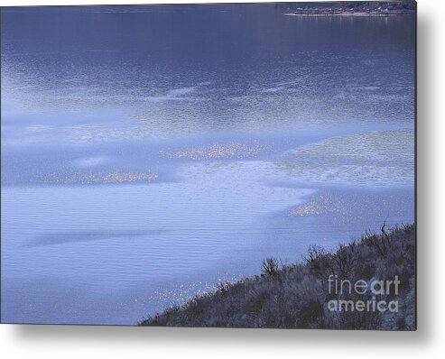 Silverwood Metal Print featuring the photograph Silverwood Lake in Blue Overcast by Viktor Savchenko