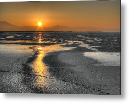 Animal Tracks Metal Print featuring the photograph Sintered Ice by David Andersen