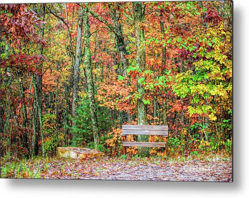 Bench Metal Print featuring the photograph Sit and Watch The Leaves Turn by Kerri Farley
