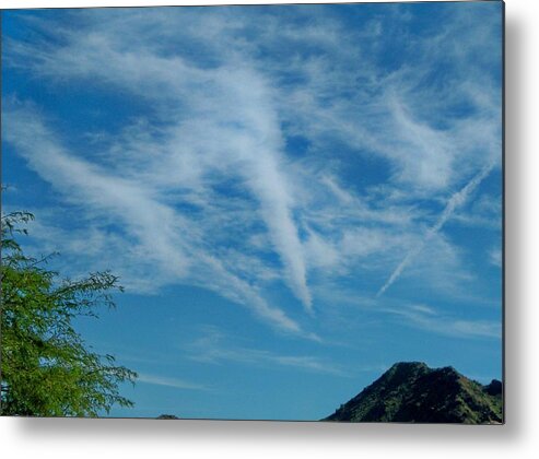 Sky Metal Print featuring the photograph Sky Blue and Poison by Patrick Trotter