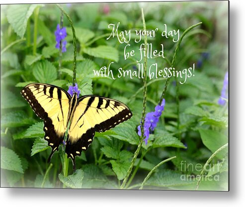 Butterflies Metal Print featuring the photograph Small Blessings by Carol Groenen