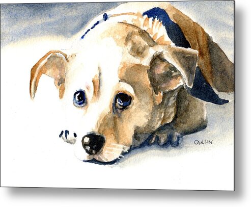 Dog Metal Print featuring the painting Small Dog with Tan Short Hair by Carlin Blahnik CarlinArtWatercolor