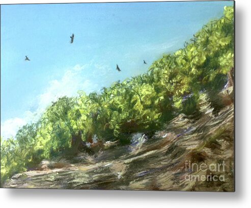Taughannock Metal Print featuring the painting Soaring Above the North Rim by Susan Sarabasha