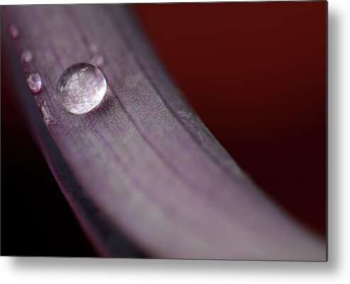 Minimalistic Photos Metal Print featuring the photograph Solo Water Droplet by Prakash Ghai