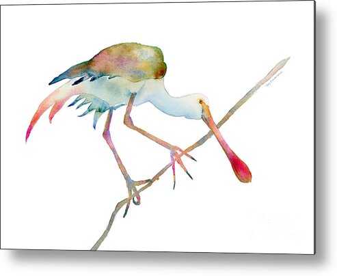 Watercolor Metal Print featuring the painting Spoonbill by Amy Kirkpatrick