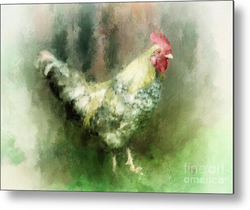 Chicken Metal Print featuring the digital art Spring Chicken by Lois Bryan