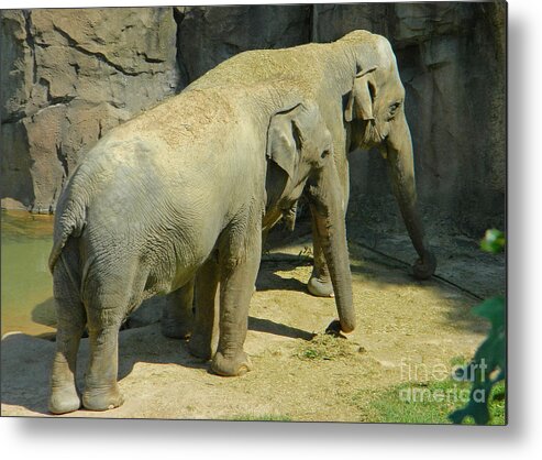 Standing Side By Side Metal Print featuring the photograph Standing Side By Side by Emmy Vickers