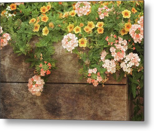 Flowers Metal Print featuring the photograph Summer Blossoms by Kim Hojnacki