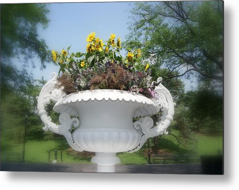 Sunflowers Metal Print featuring the photograph Sunflower Urn by Margie Avellino