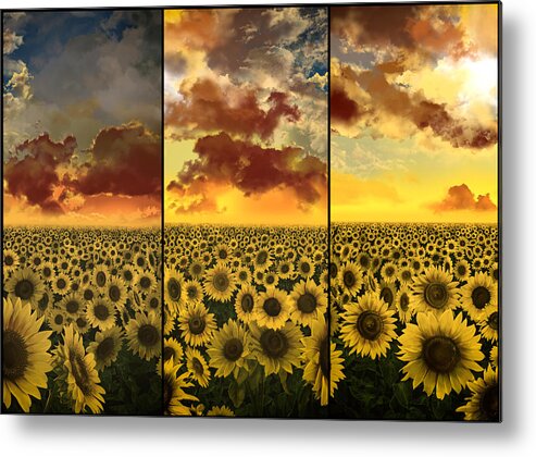 Sunflowers Metal Print featuring the painting Sunflowers triptych by Bekim M