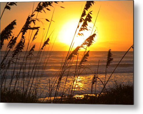 Silhouette Metal Print featuring the photograph Sunrise Silhouette by Robert Och