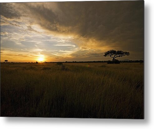 Places Metal Print featuring the photograph sunset over the Serengeti plains by Patrick Kain