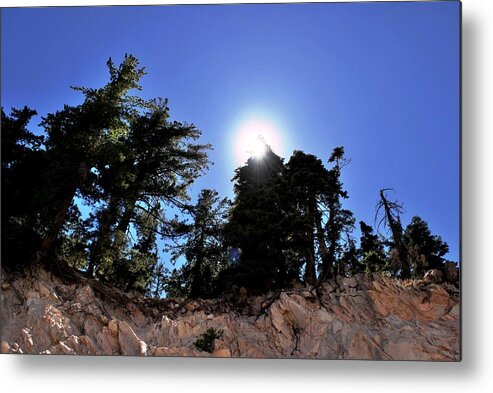 Nature Metal Print featuring the photograph Sunshine over Cliff in Forest by Matt Quest