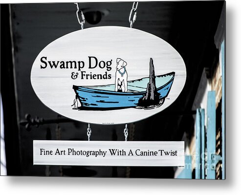 New Orleans Metal Print featuring the photograph Swamp Dog And Friends by Frances Ann Hattier