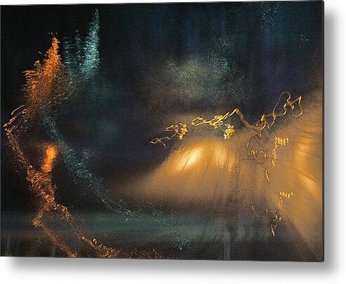 Abstract Metal Print featuring the photograph Swan Lake by Abbie Loyd Kern