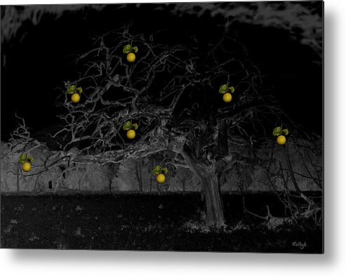 Fantasy Metal Print featuring the photograph Sweet Fruit by Holly Kempe