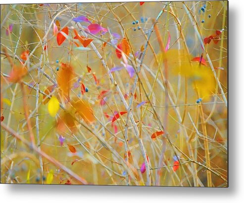 Nature Metal Print featuring the photograph The Abstract of Nature by Diana Angstadt