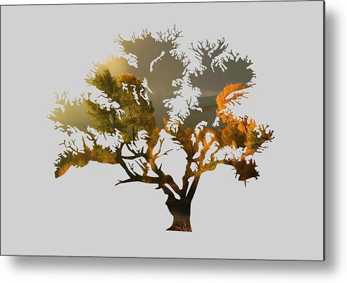 Autumn Metal Print featuring the photograph The Autumn Tree by Whispering Peaks Photography