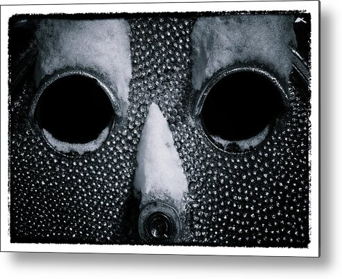 Stare Metal Print featuring the photograph The Cold Stare by Thomas Lavoie