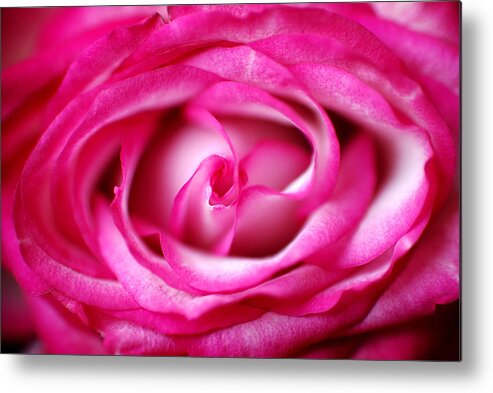 Rose Metal Print featuring the photograph The Core by Lorenzo Cassina
