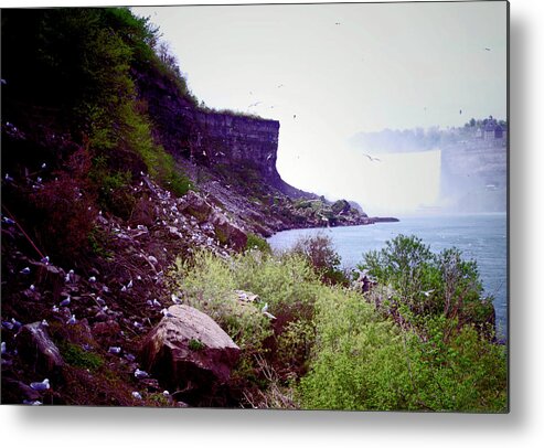 Falls Metal Print featuring the photograph The Cove by Bess Carter