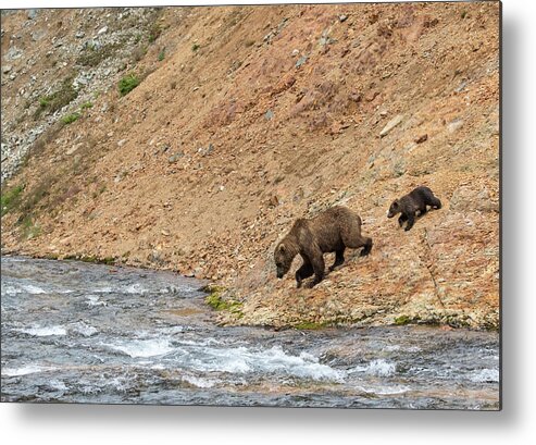 Alaska Metal Print featuring the photograph The Danger Has Passed by Cheryl Strahl