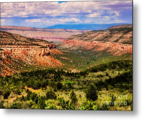 Landscape Metal Print featuring the photograph The Escalante Canyon Colorado by Janice Pariza