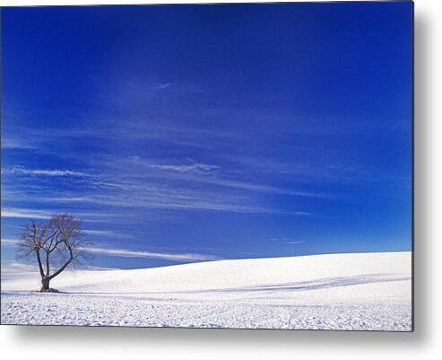 Outdoors Metal Print featuring the photograph The Flack Farm Tree by Doug Davidson