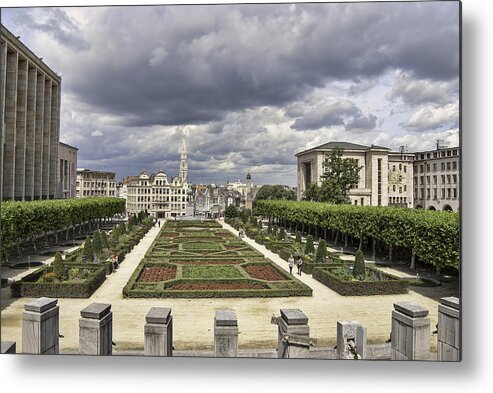 The Geometric Garden Metal Print featuring the photograph The Geometric Garden by Phyllis Taylor