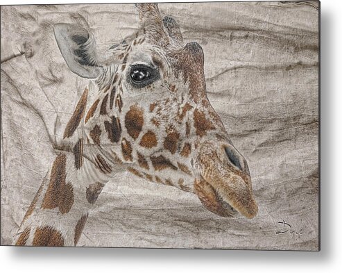 Giraffe Metal Print featuring the photograph The Giraffe by Dyle  Warren