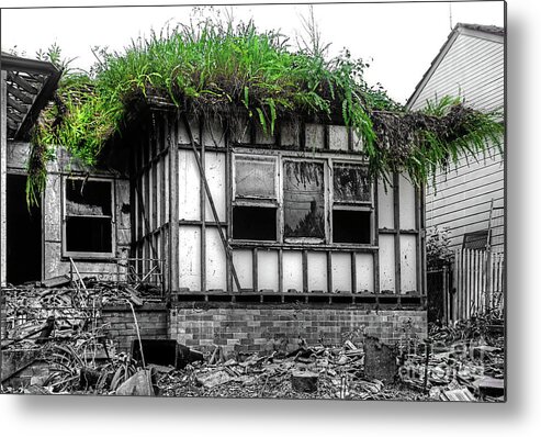 Photography Metal Print featuring the photograph The House of the Triffids by Kaye Menner by Kaye Menner