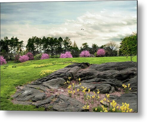 Spring Metal Print featuring the photograph The Meadow Beyond by Jessica Jenney