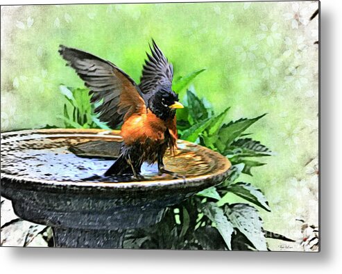 American Robin Metal Print featuring the photograph The Messenger by Tina LeCour