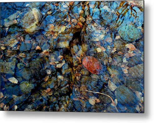Pond Metal Print featuring the photograph The Pond in Autumn by Marilynne Bull