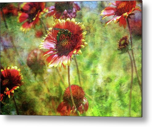 Wasp Metal Print featuring the photograph The Wasp On His Blanket 0508 IDP_2 by Steven Ward