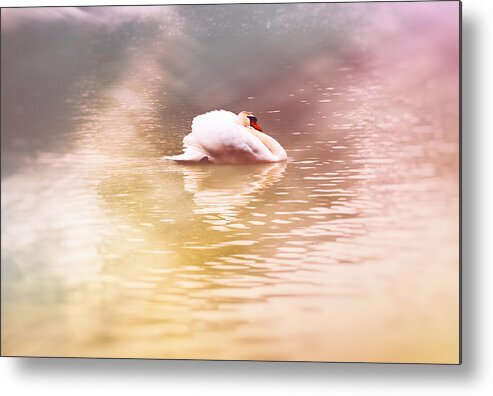 Swan Metal Print featuring the photograph The White Pearl by Jaroslav Buna