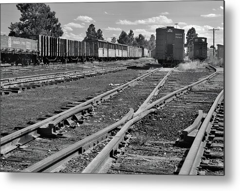 Trains Metal Print featuring the photograph The Yard by Ron Cline