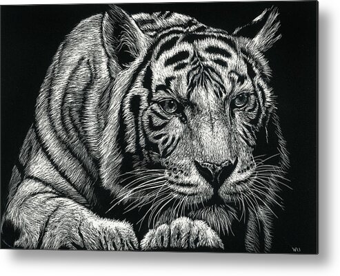 Tiger Metal Print featuring the drawing Tiger Pause by William Underwood