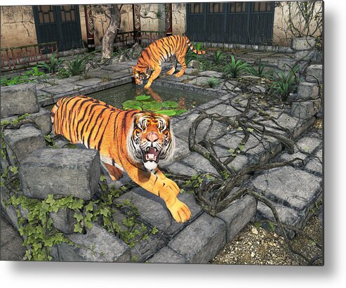 Courtyard Metal Print featuring the painting Tigers in the Courtyard by Peter J Sucy