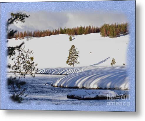 Yellowstone National Park Metal Print featuring the photograph Tree Shadows along the Madison by Kae Cheatham