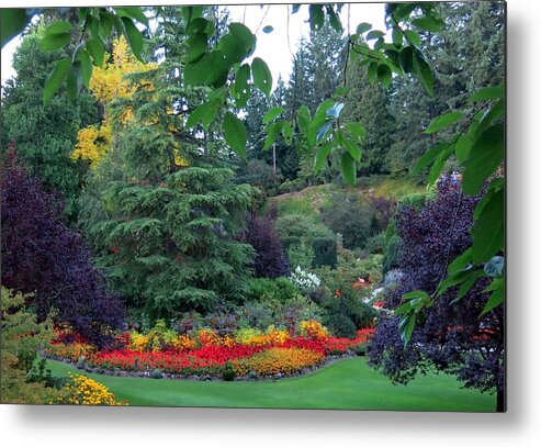 Gardens Metal Print featuring the photograph Trees and Flowers by Betty Buller Whitehead