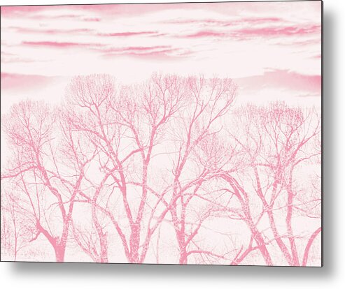 Tree Metal Print featuring the photograph Trees Silhouette Pink by Jennie Marie Schell