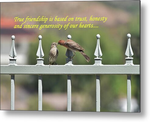 Linda Brody Metal Print featuring the photograph True Friendship by Linda Brody