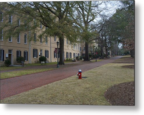 Nic Tours Metal Print featuring the photograph University Of South Carolina 2 by Skip Willits
