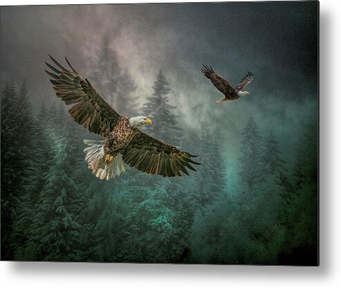 Bald Eagle Metal Print featuring the photograph Valley of The Eagles. by Brian Tarr