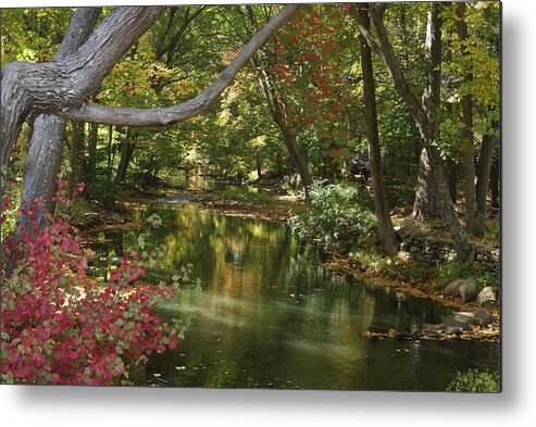 River Metal Print featuring the photograph View of the Mill River by Margie Avellino