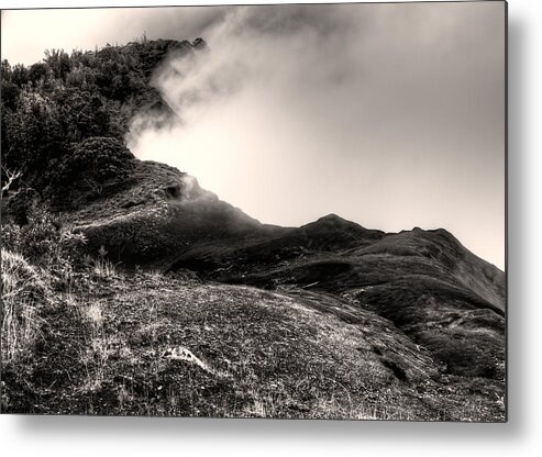 Kauai Metal Print featuring the photograph Waimea Early Morning Fog by Natasha Bishop