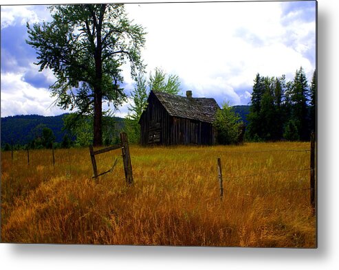 Landscape Metal Print featuring the photograph Washington Homestead by Marty Koch