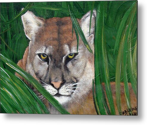 Panther Metal Print featuring the painting Watching Florida Panther by Darlene Green